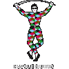 Harlequins