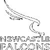 Newcastle Falcons